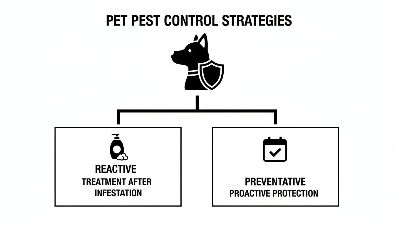 Diagram illustrating pet pest control strategies: reactive treatment after infestation and preventative proactive protection.