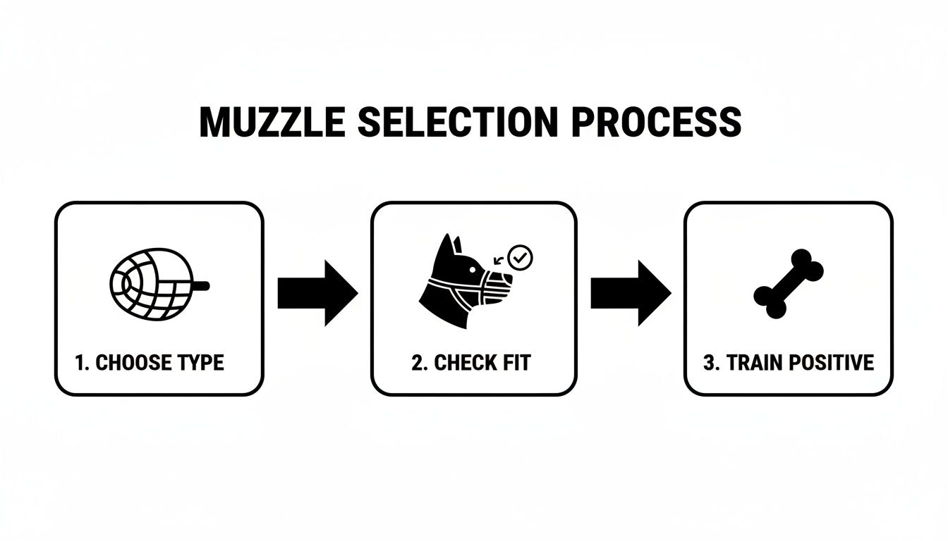 Flowchart outlining the three-step muzzle selection process: choose type, check fit, and positive training.
