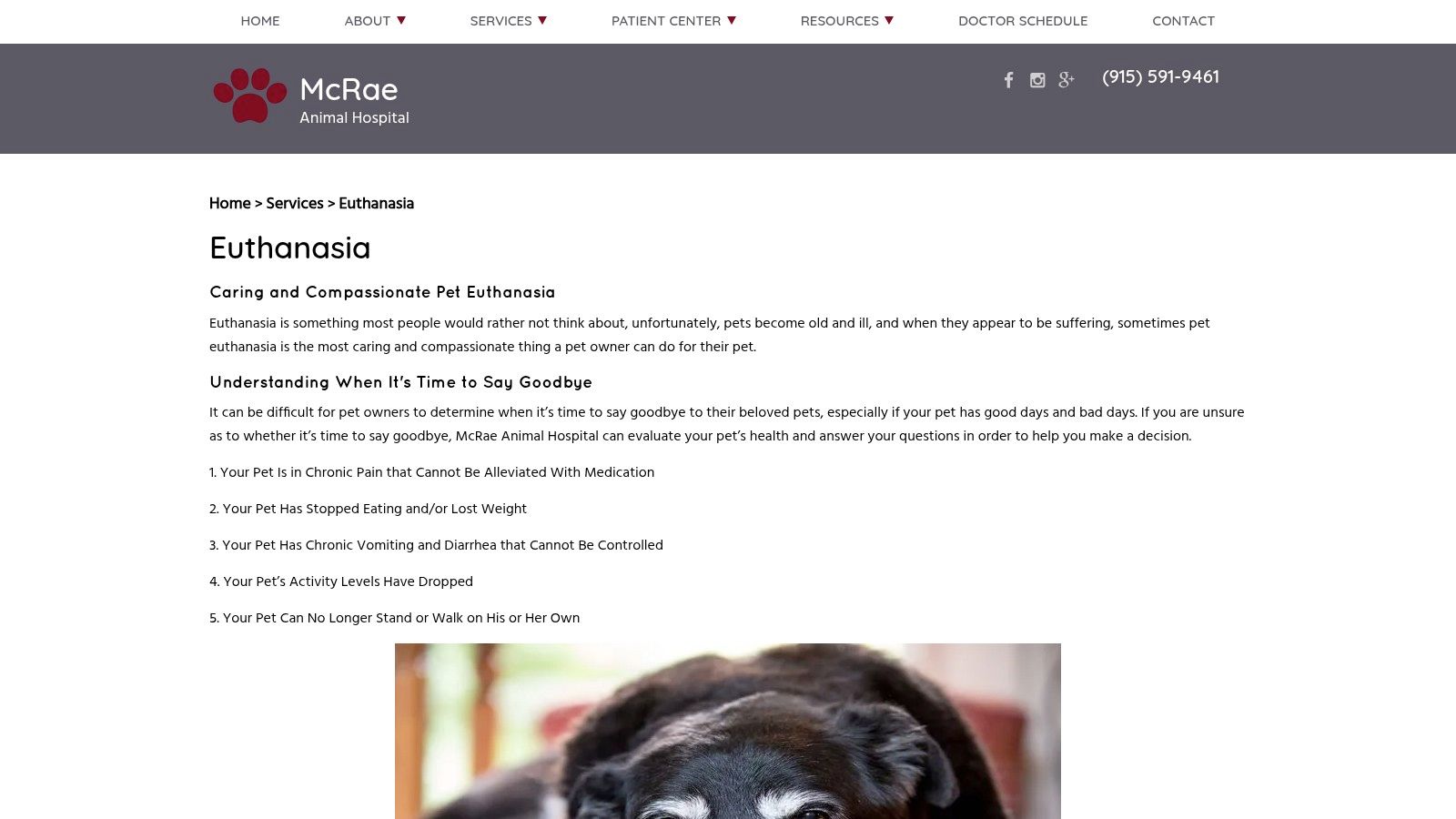 McRae Animal Hospital — In‑Clinic Euthanasia with Cremation Coordination (El Paso)