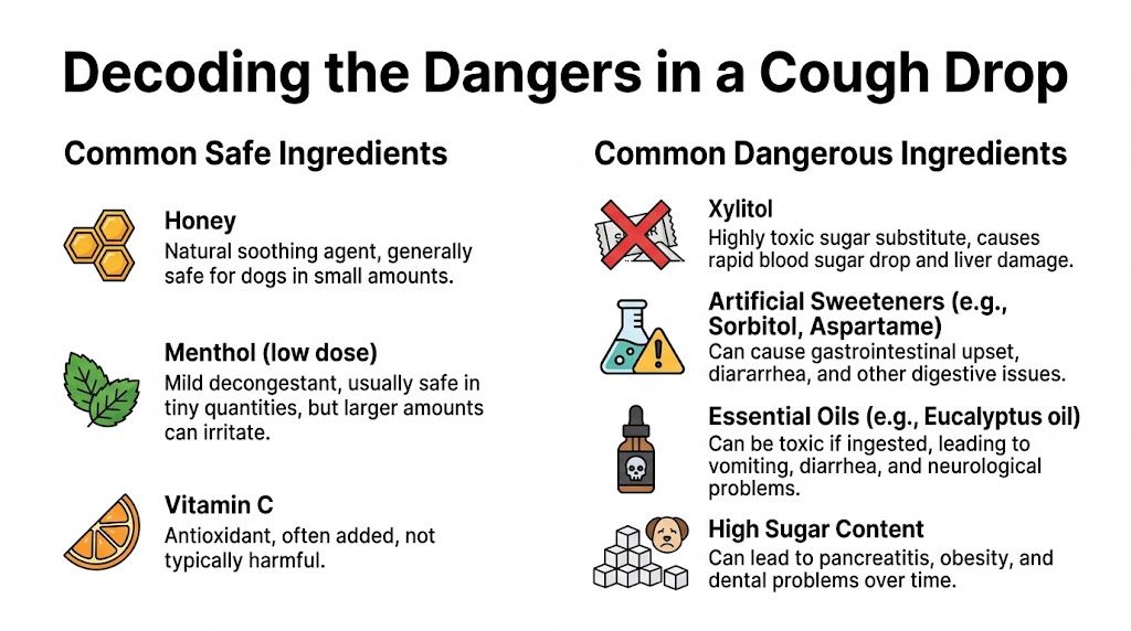 A helpful infographic outlining safe and dangerous ingredients in cough drops for dogs to avoid.