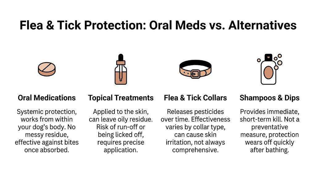 A comparison chart outlining the pros and cons of oral medications, topical treatments, collars, and shampoos for pets.