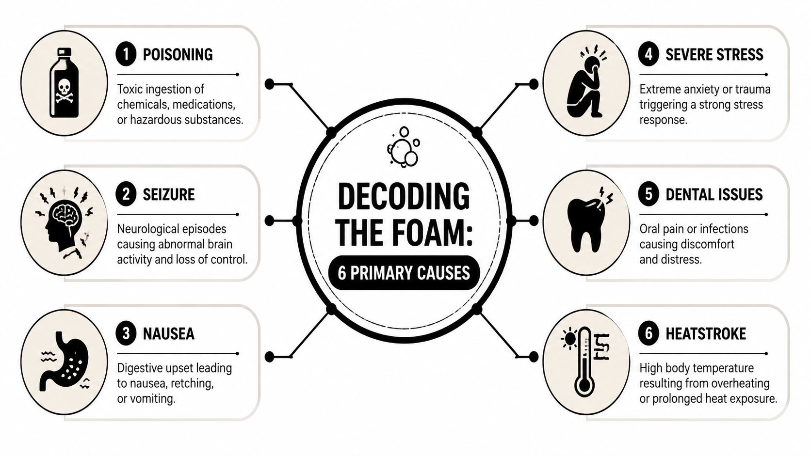An infographic titled Decoding the Foam illustrating six primary medical causes for foaming at the mouth.