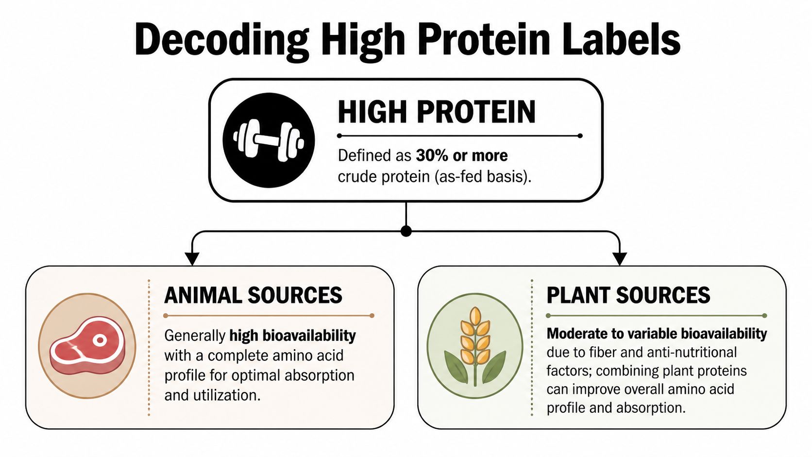 An infographic titled Decoding High Protein Labels explaining animal versus plant protein sources for dog food.