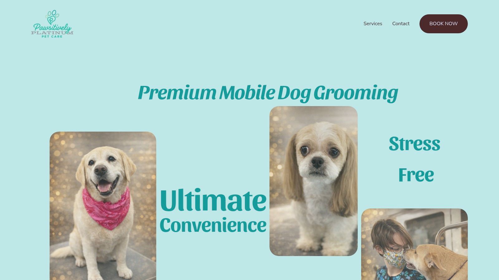 Pawsitively Platinum Pet Care