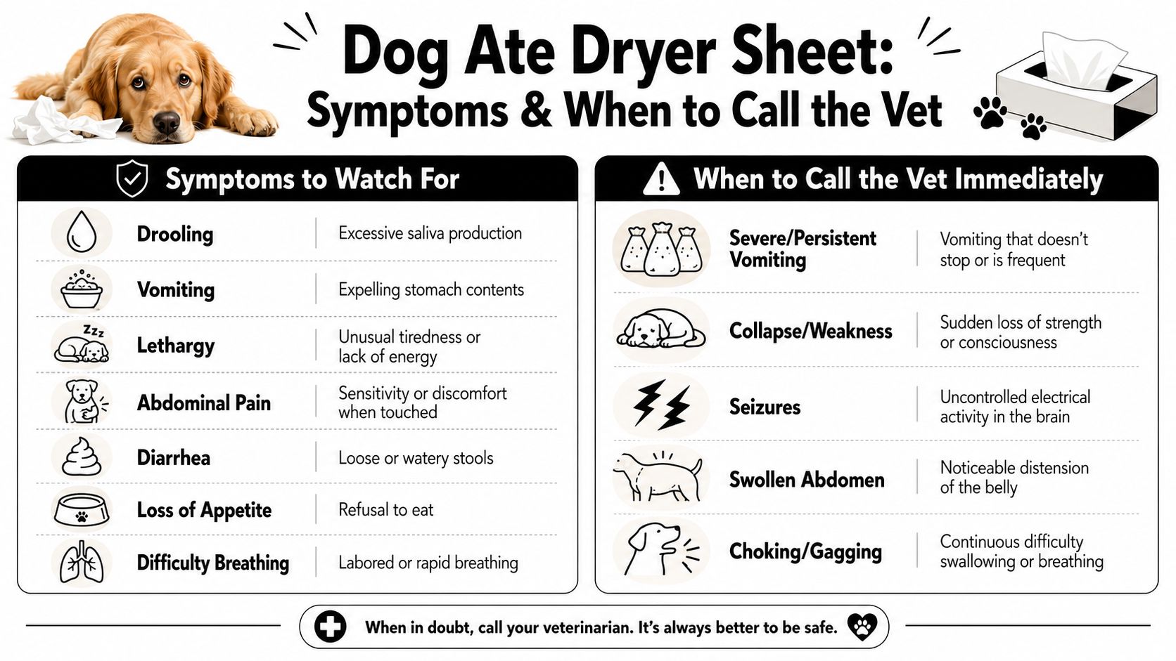 A chart illustrating symptoms of a dog eating a dryer sheet and warning signs for immediate veterinary care.