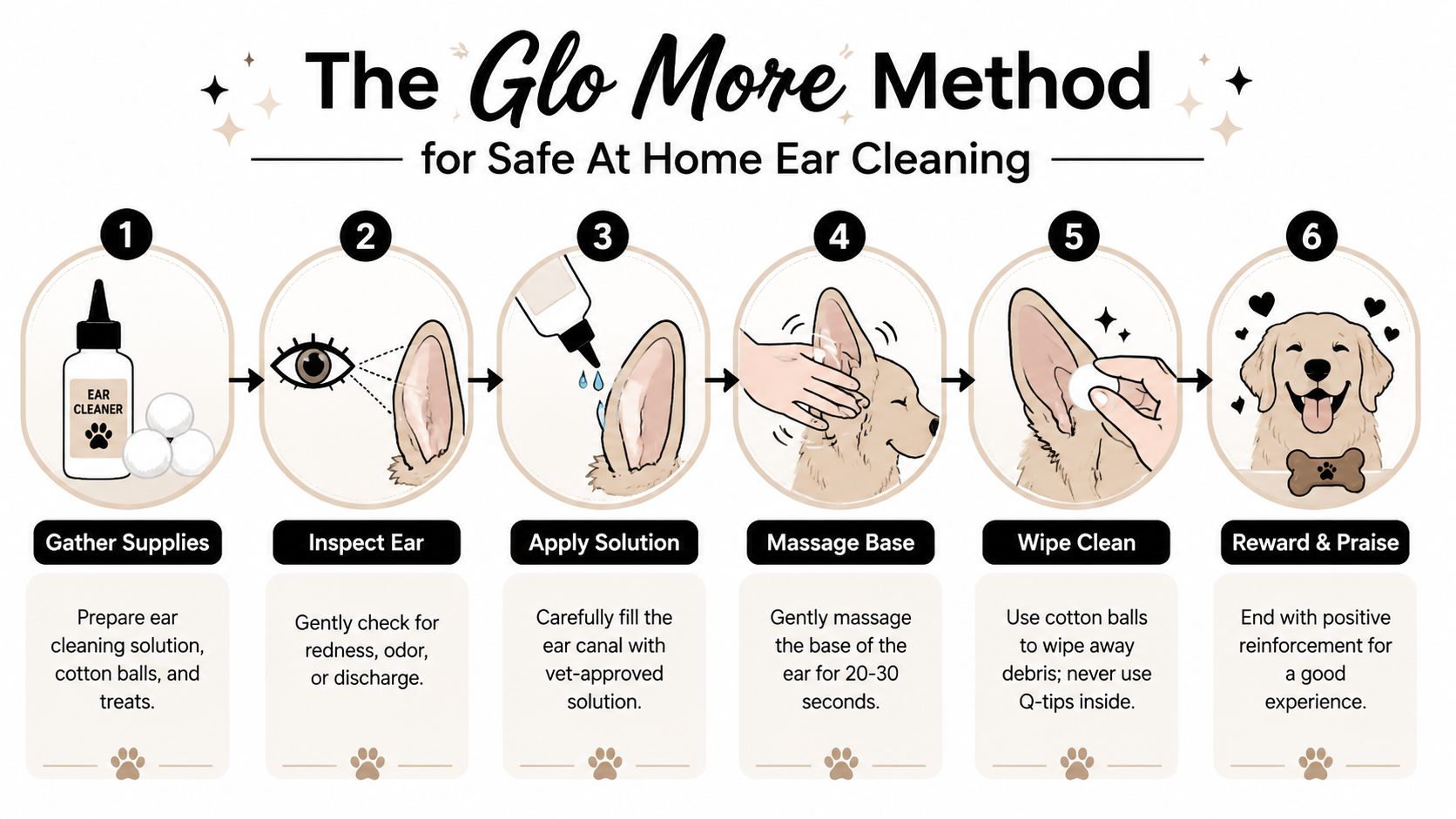 A six-step infographic illustrating the safe process for cleaning a dog's ears at home with instructions.