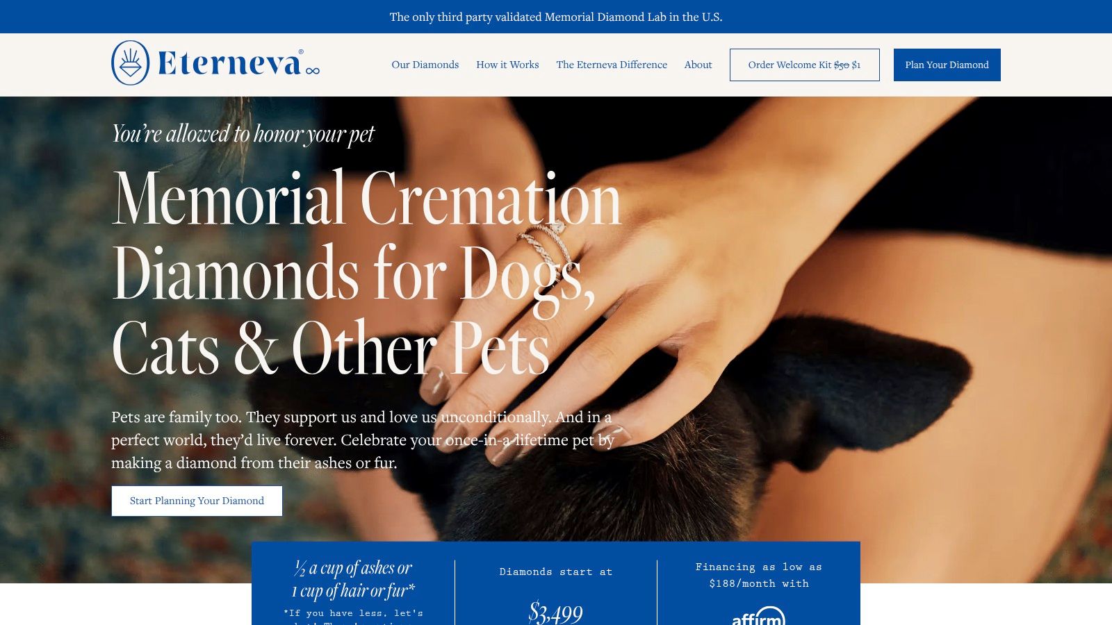 Eterneva