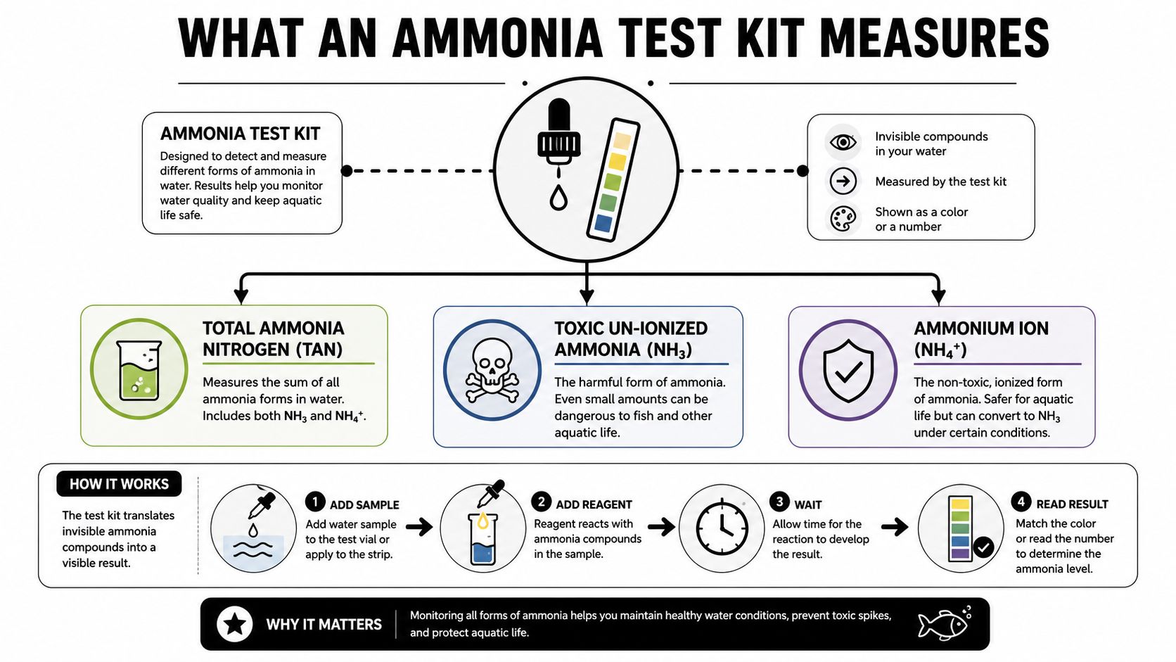 An infographic explaining how ammonia test kits measure different forms of ammonia in aquatic water systems.