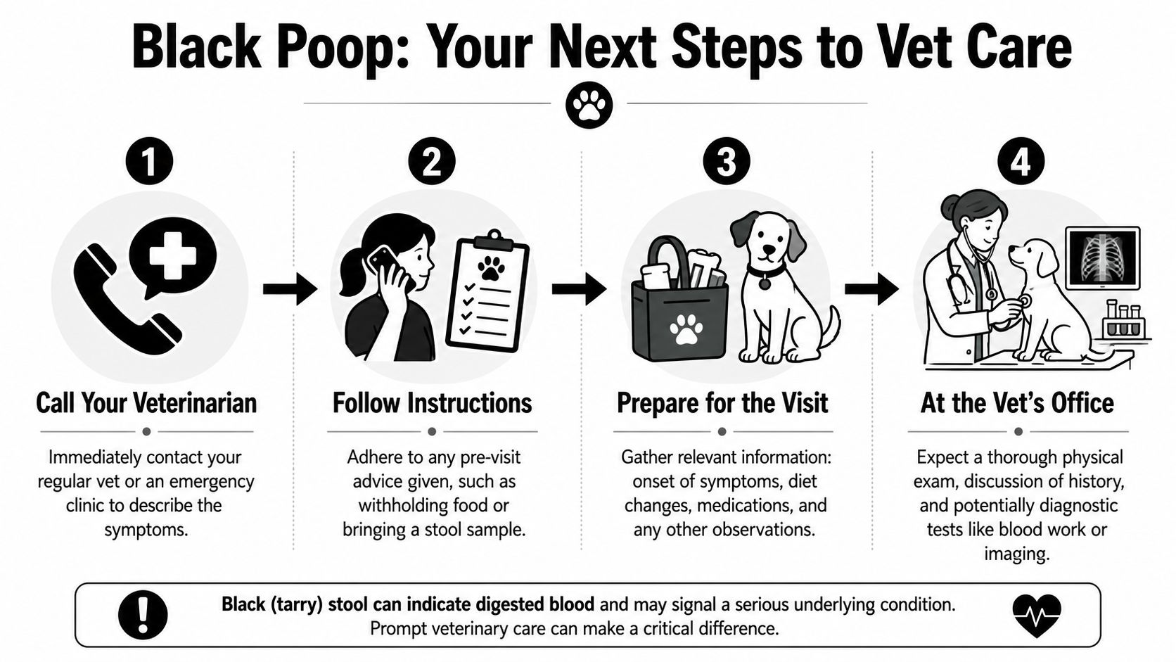 An infographic detailing four steps to take when a dog has black or tarry stool.