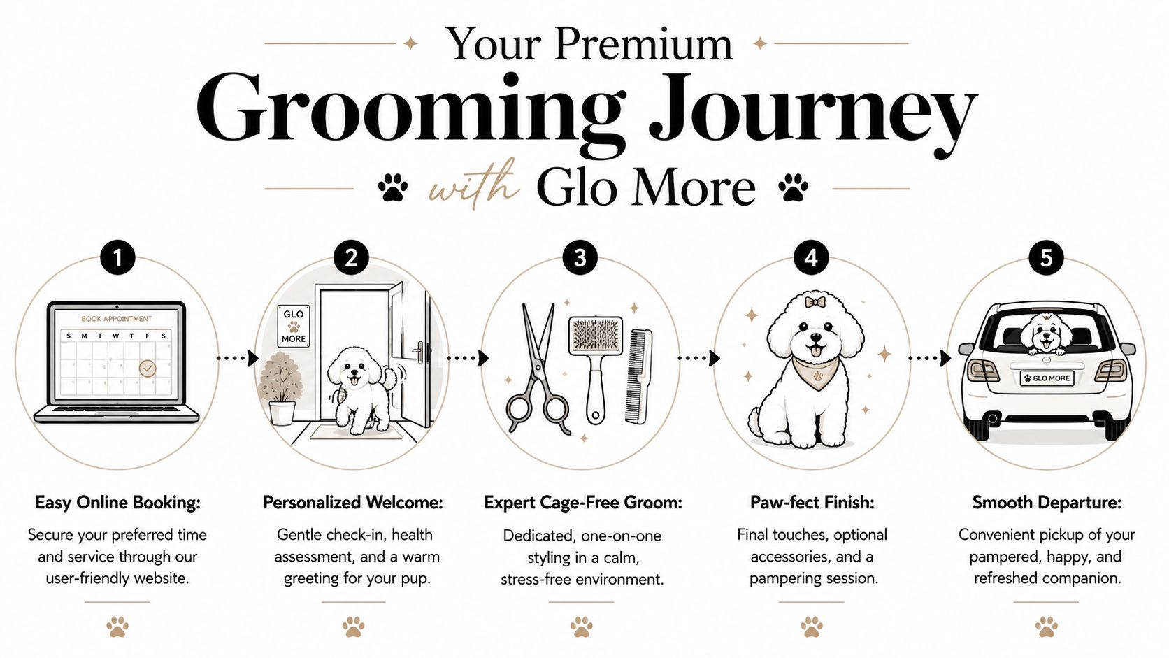 A five-step graphic illustrating the professional and stress-free cage-free dog grooming process at Glo More.