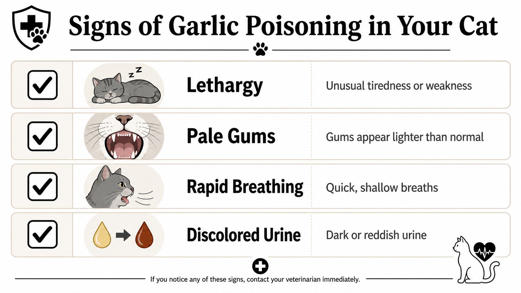 An infographic listing the signs of garlic poisoning in cats, including lethargy, pale gums, and discolored urine.