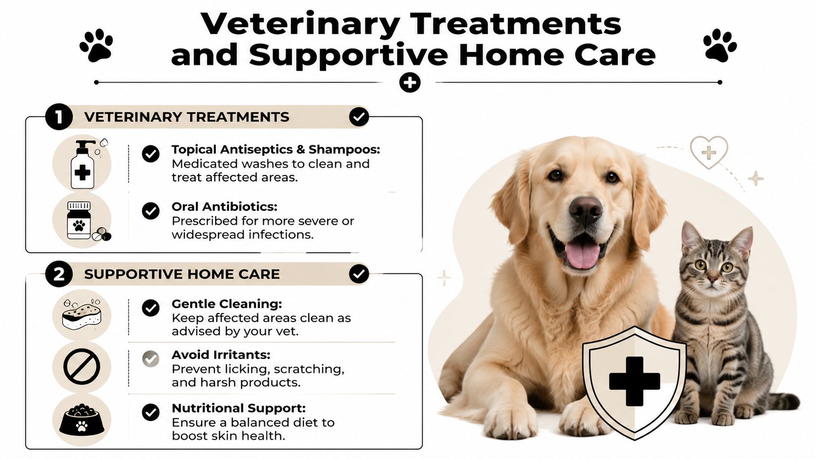An infographic detailing veterinary treatments and supportive home care for pets experiencing common skin issues.