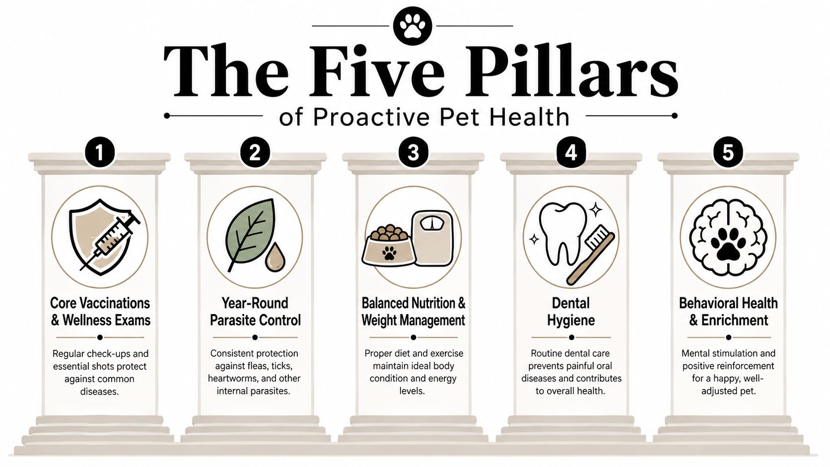 An infographic detailing five pillars of proactive pet health including vaccinations, parasite control, nutrition, dental care, and behavior.