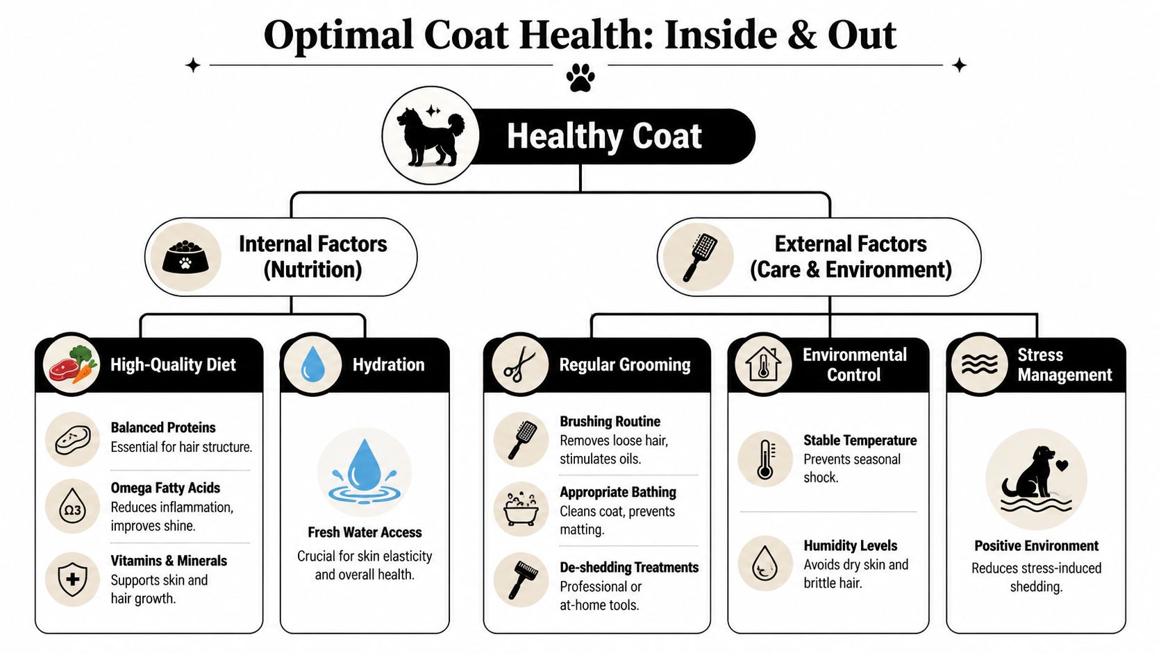 An infographic titled Optimal Coat Health outlining internal nutrition and external grooming tips for dogs.