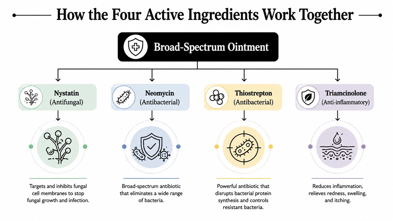 A diagram illustrating how four active ingredients in a broad-spectrum ointment work to treat canine skin issues.