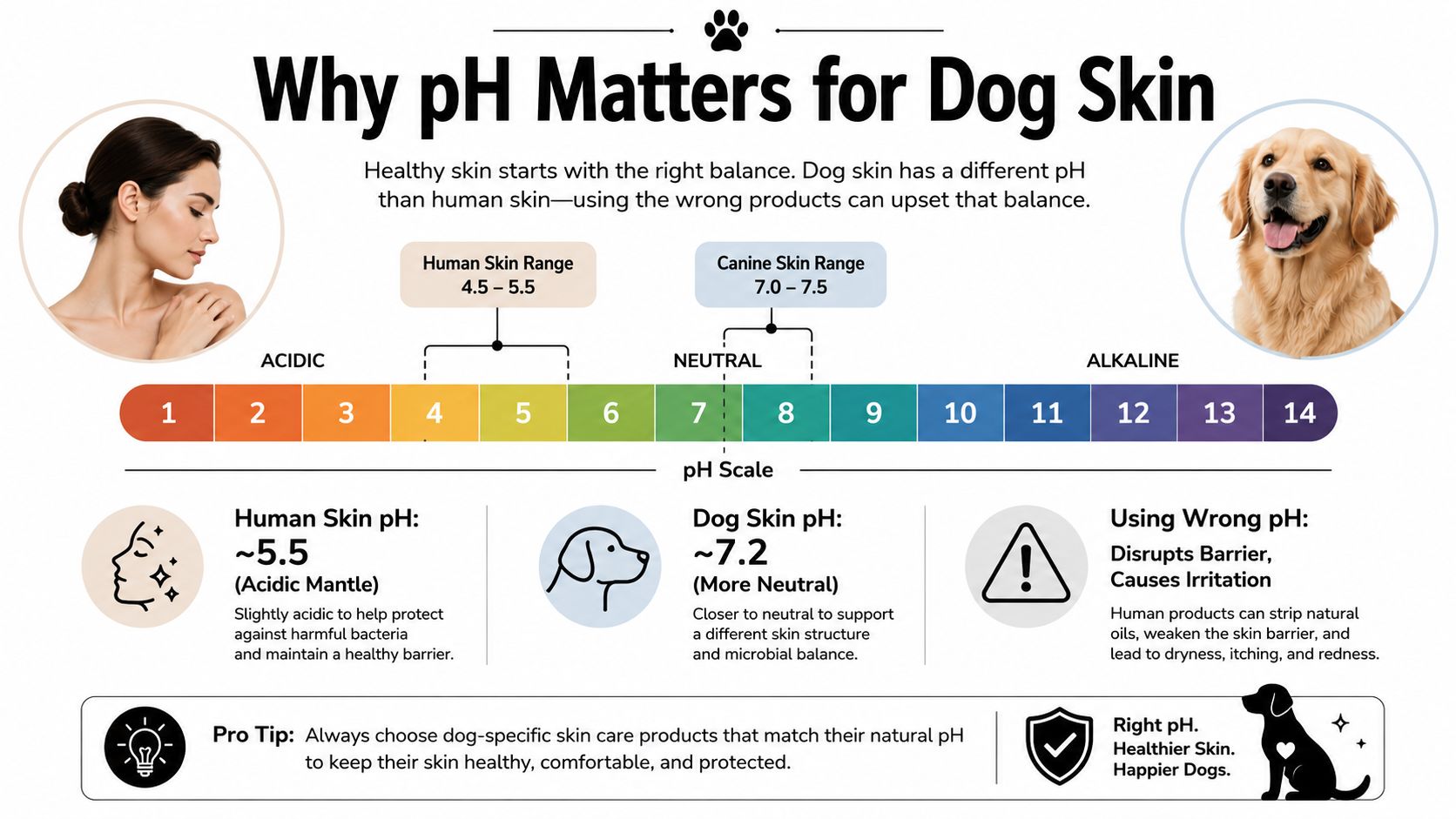 An infographic showing the pH differences between human and canine skin and why dogs need specific products.