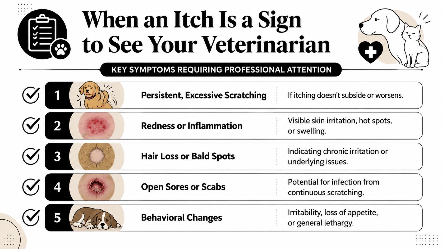 An infographic detailing five key symptoms of pet skin irritation that require a professional veterinarian visit.