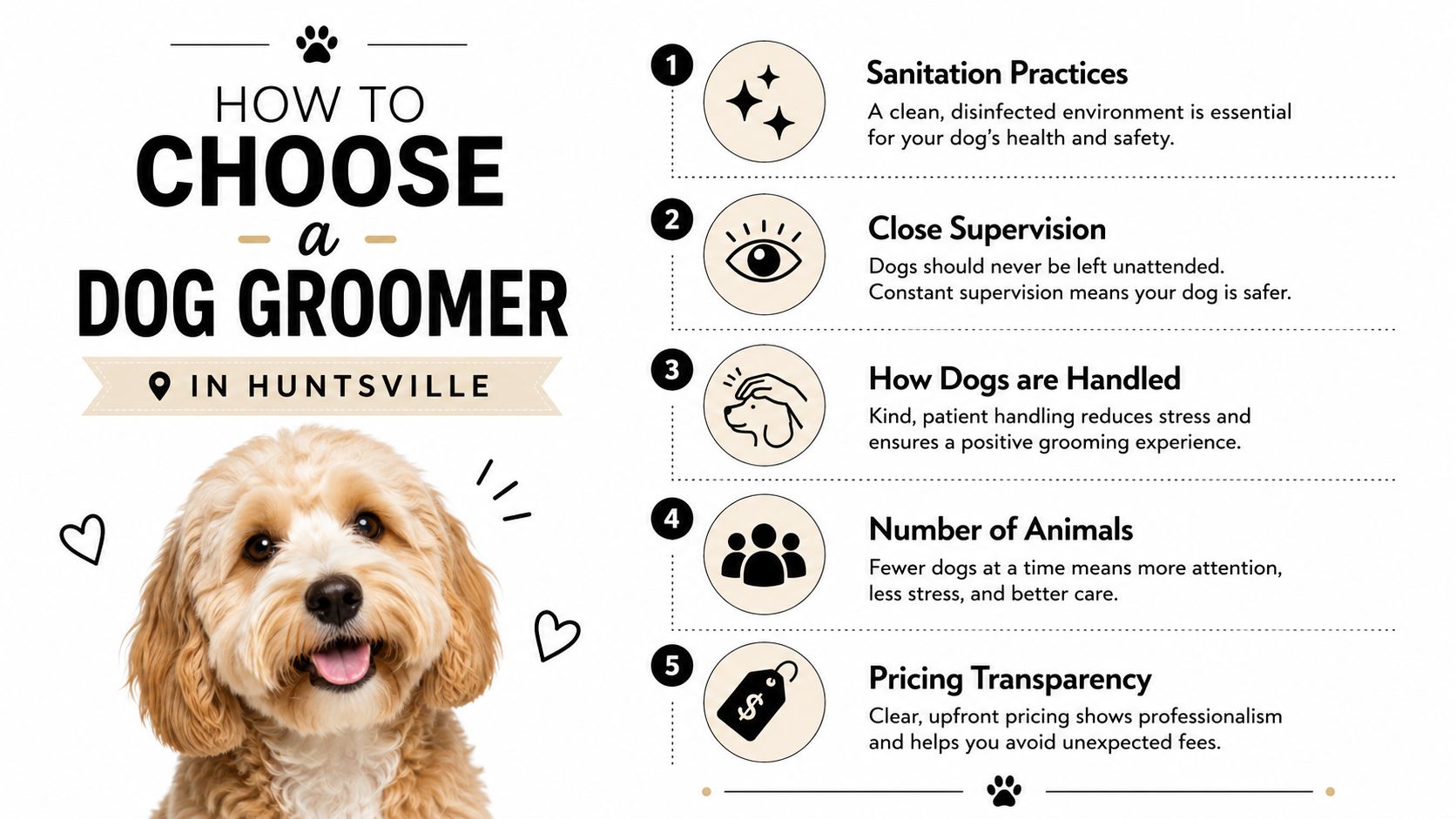 An infographic titled How to Choose a Dog Groomer in Huntsville with five helpful tips and a cute dog.