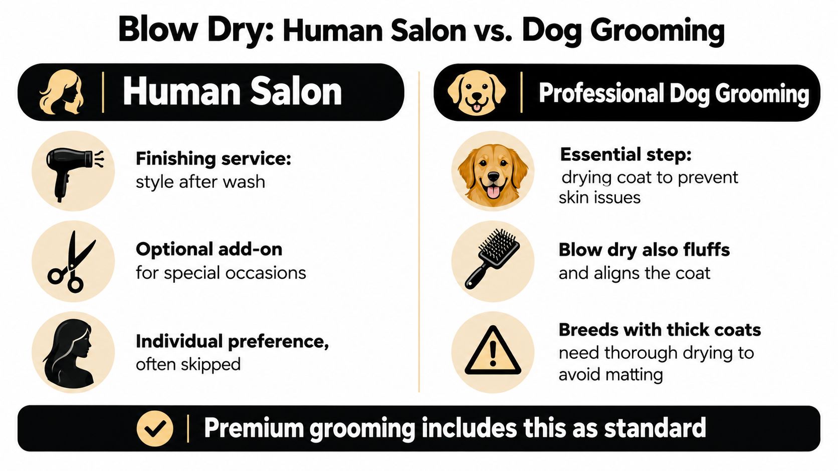 A comparison infographic between human salon blow dry services and professional dog grooming blow dry procedures.