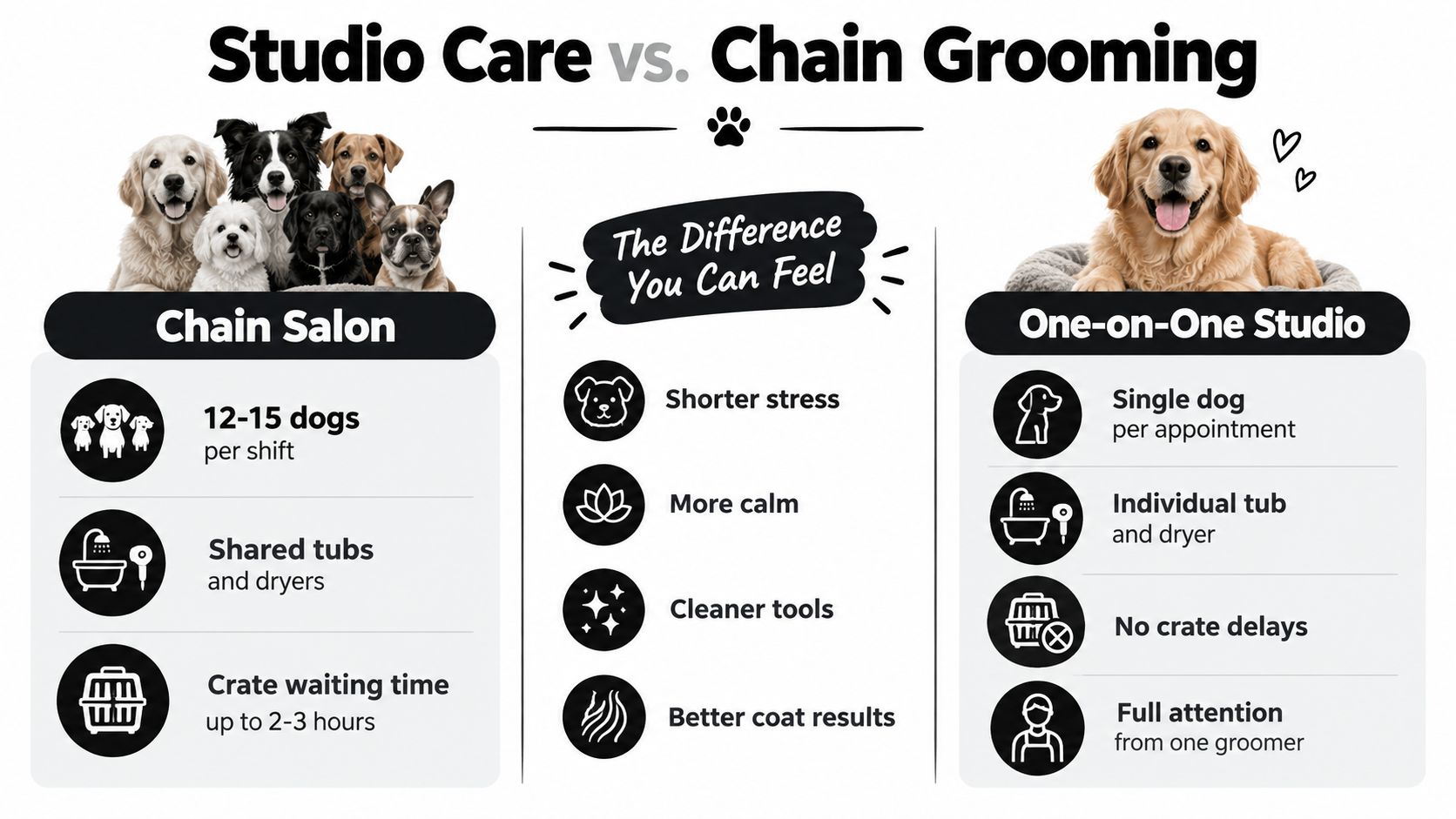 A comparison infographic between chain salon grooming and one-on-one studio grooming for dogs.