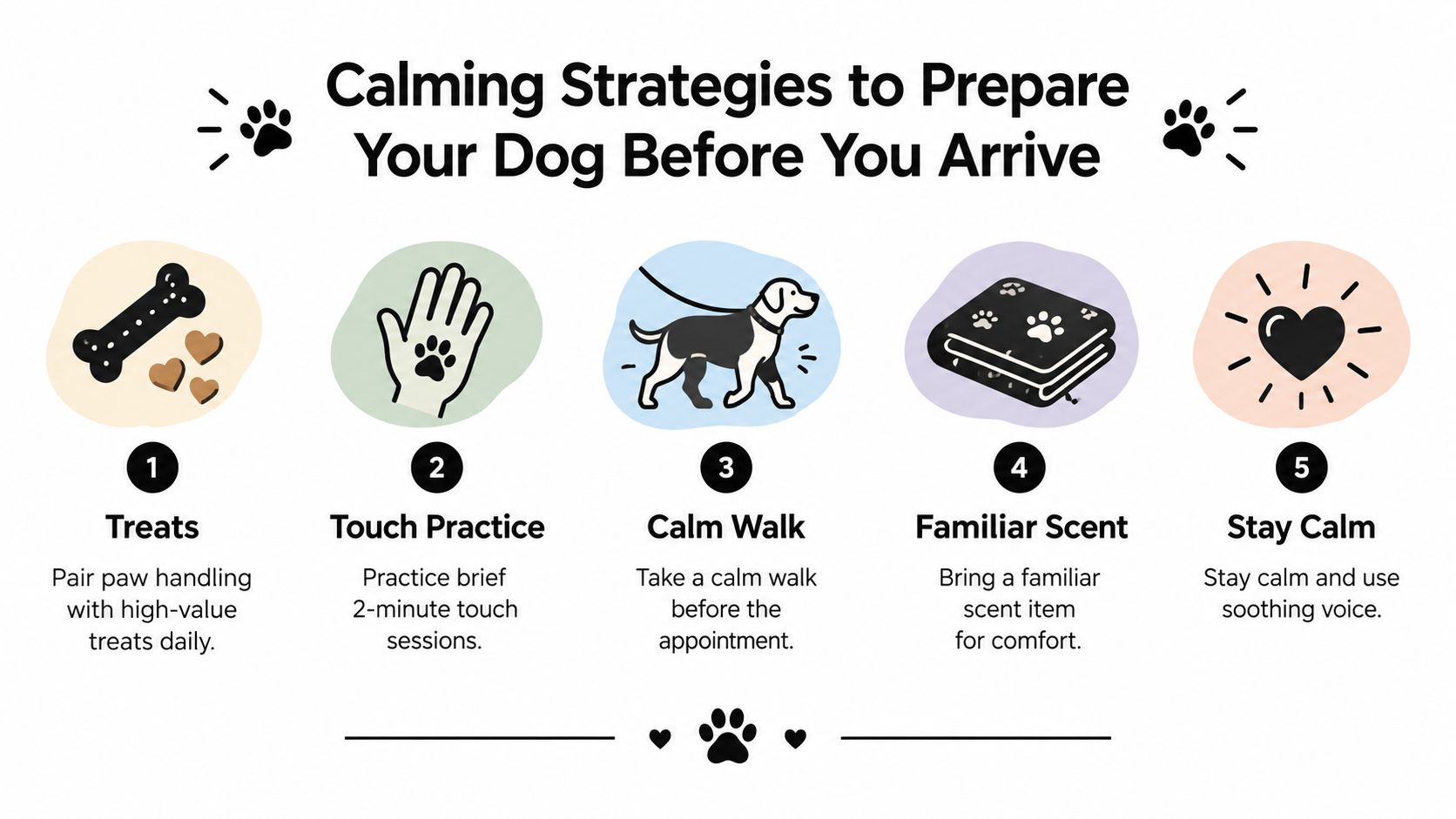 A colorful infographic illustrating five essential calming strategies to prepare your dog for an upcoming appointment.