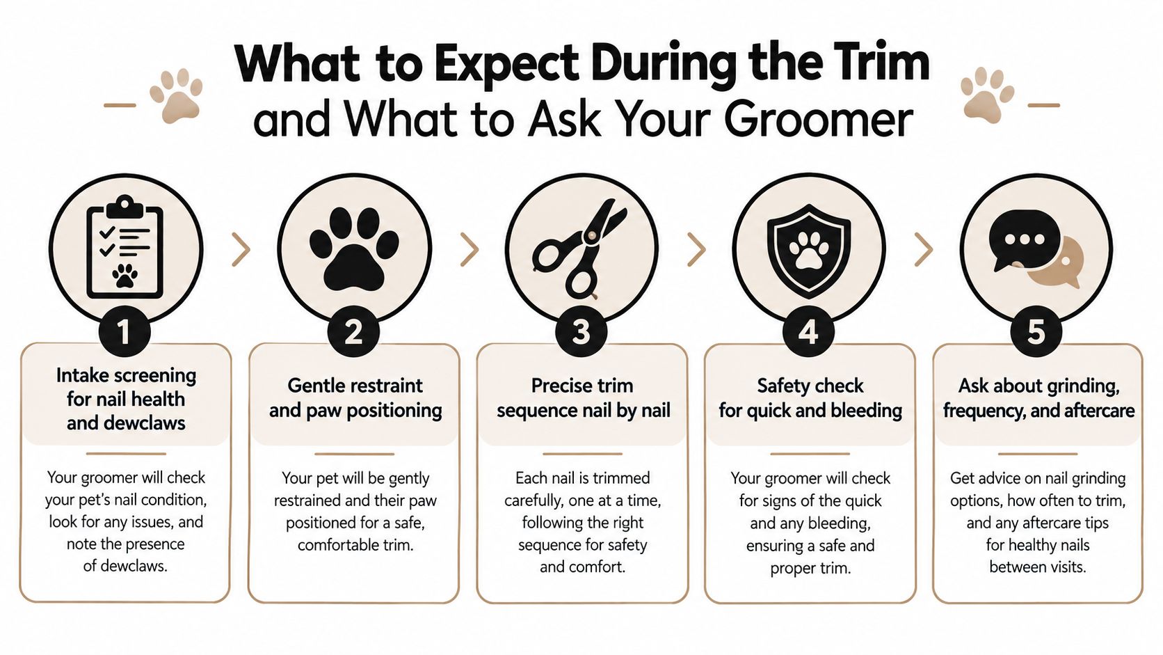 A five-step infographic showing the process of a professional pet nail trim appointment for dog grooming.